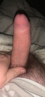 matt_hide22