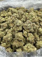 nayaramaced9254 picture