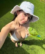 photo de salfeshawy