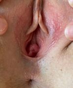 lidan_rose116 picture