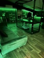 foto de mistress_me1148