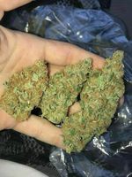 jacksonpass749 picture