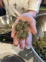 jacksonpass749 picture