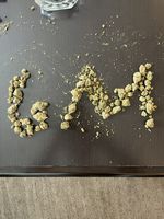 kaal_k232261 picture