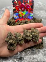 richiem22281 picture