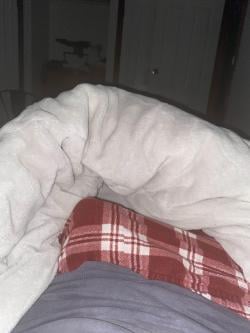 Sharkythebot picture