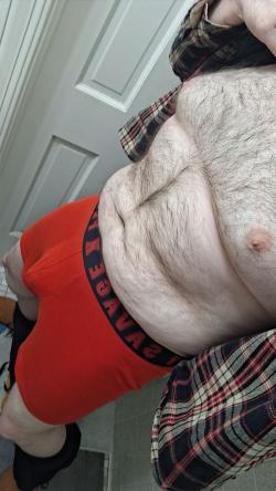 thebeereddragon