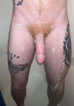 tman1775 picture