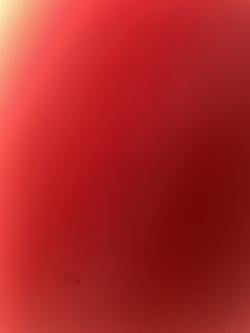 micheal23588