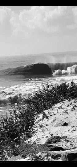 greensky2019 picture