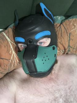 sheephugger1993 picture