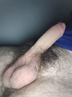 sebsebseblapute