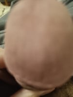 ohaapala06