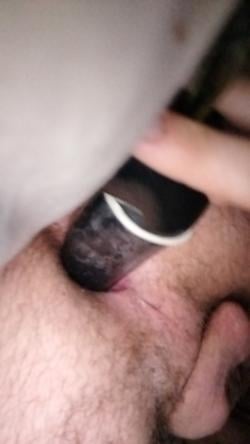 saxongibbons picture