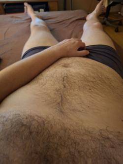 ddy.dom picture