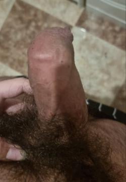 uyalex_17