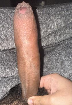 james_cook3544 picture