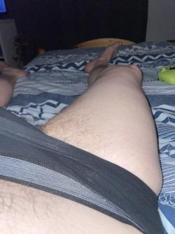 addy_saurust