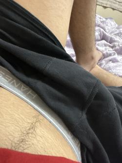 califwournia picture