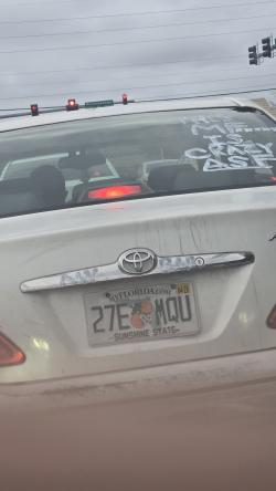 armedandangerus picture