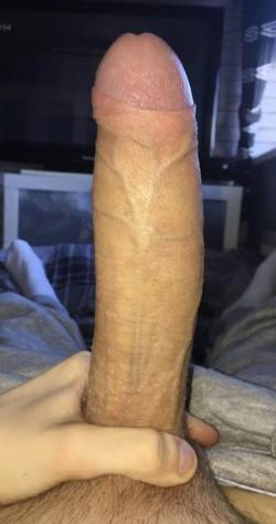 bob_s22803