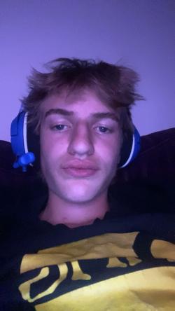shawnmonkeyauds