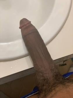 casanovadommy picture