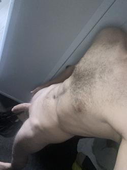 nick_tree2024
