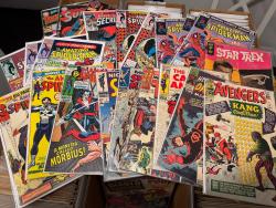 fbcomicchronicles picture