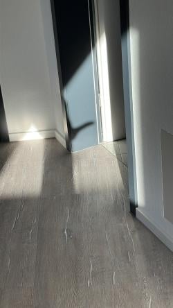 findoutmore1 picture