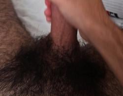 unkown101141 picture