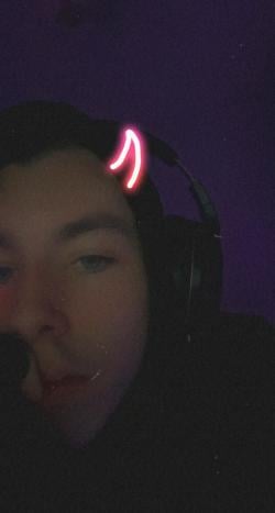 vamp_wb