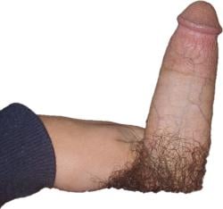 pop_o2024