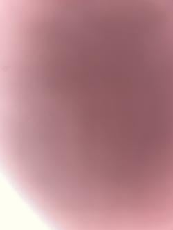 a43643202