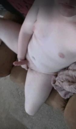 sterotype1160 picture