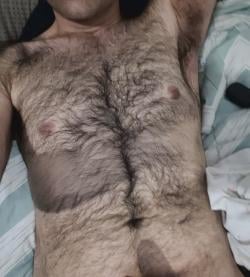 samh_256
