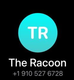 theracoon09