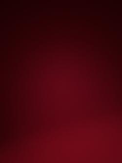 damon.nied0