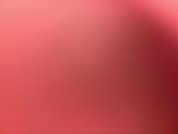 ronnie_rn0