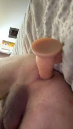 cams256144