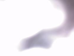 jordan20254604