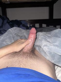 hairy2005