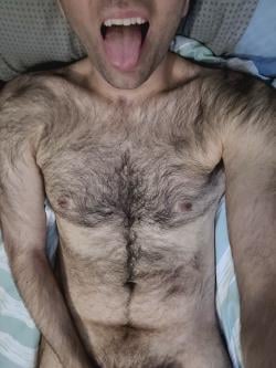 sd_4295