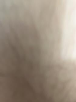 will_j20253071