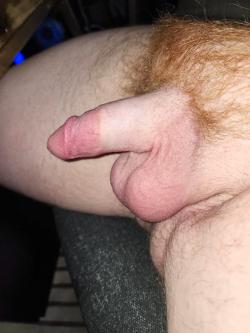 gingerfun2058