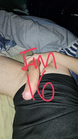 meets20254606