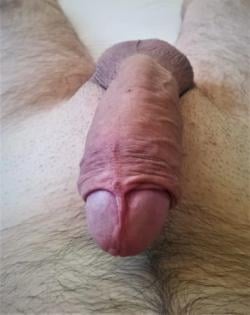 joao_andy4fun