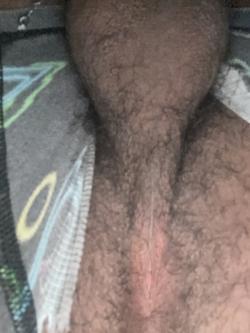 forestfires25 picture