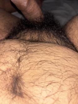 salazardan428
