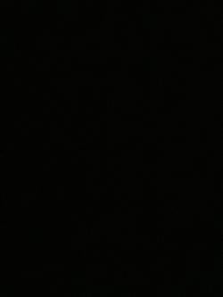max_muller22721